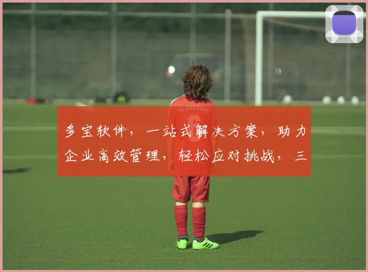 多宝软件，一站式解决方案，助力企业高效管理，轻松应对挑战，三重优势，值得信赖，