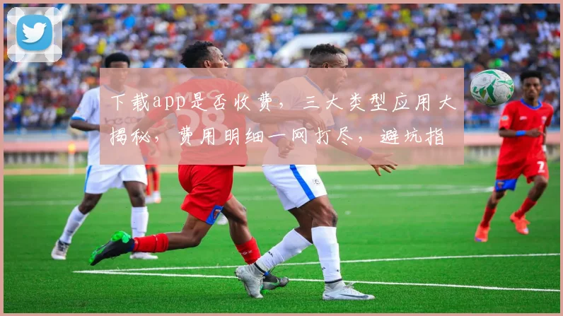 下载app是否收费，三大类型应用大揭秘，费用明细一网打尽，避坑指南